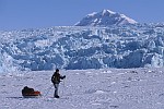 Expéditions à ski de randonnée nordique dans l'Arctique.